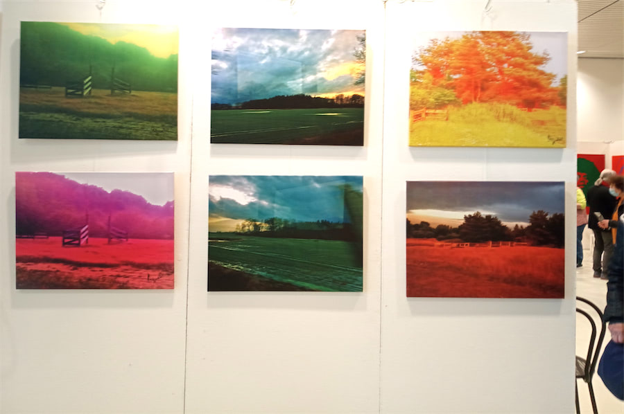 Bilder Holsten-Art-Messe, Neumünster